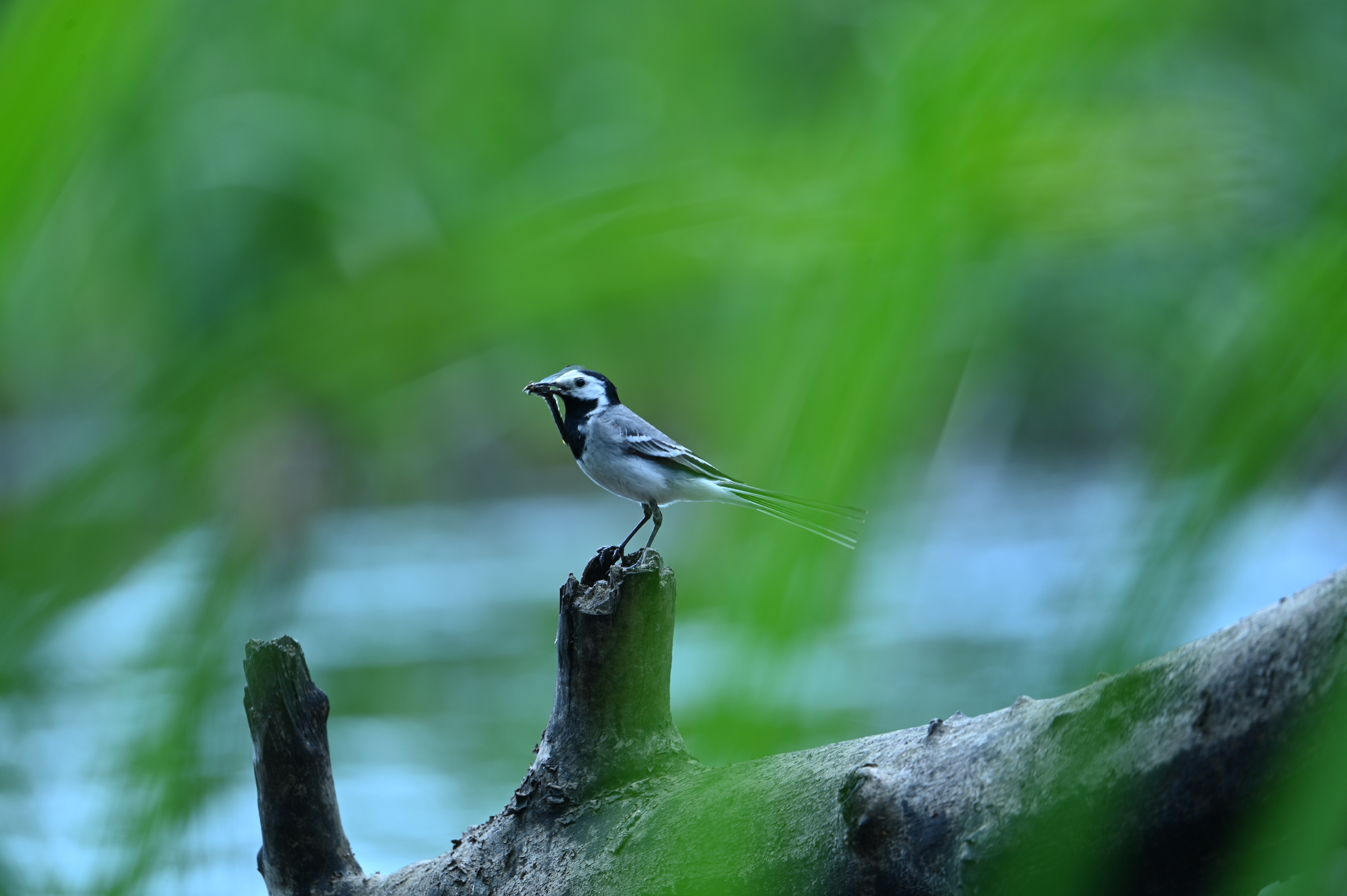 2025/07/09-14 - trip/DSC_0436.JPG